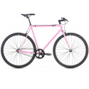 6KU FIXIE & SINGLE SPEED BIKE ROGUE