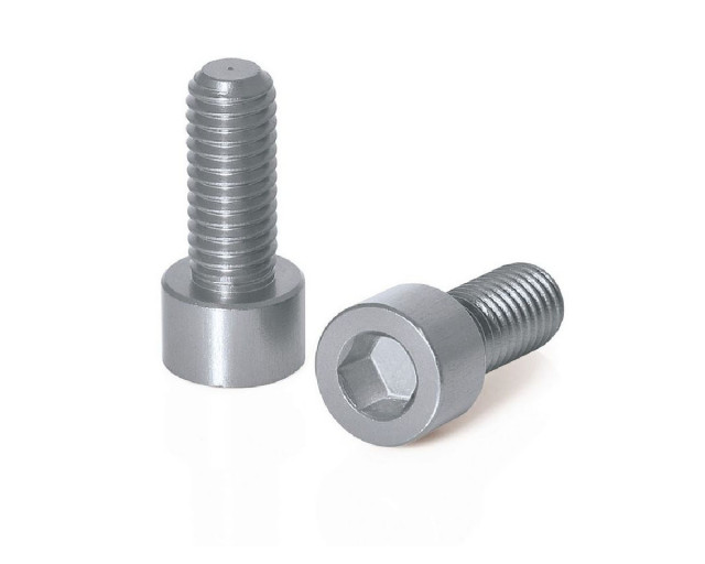 XLC BC-X02 2 BOLTS  ALUMINIUM M5x17 mm TITANIUM  